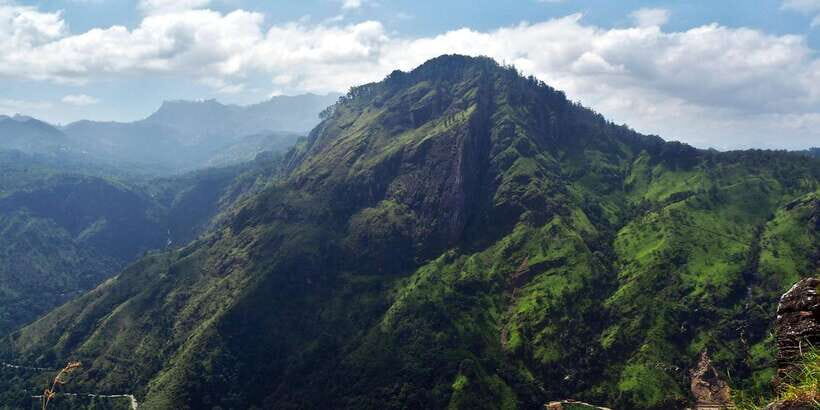 Ella: Tea Factory, Train, and Nine Arch Day Tour with Pickup - The Practical Side: Value, Comfort, and Potential Drawbacks