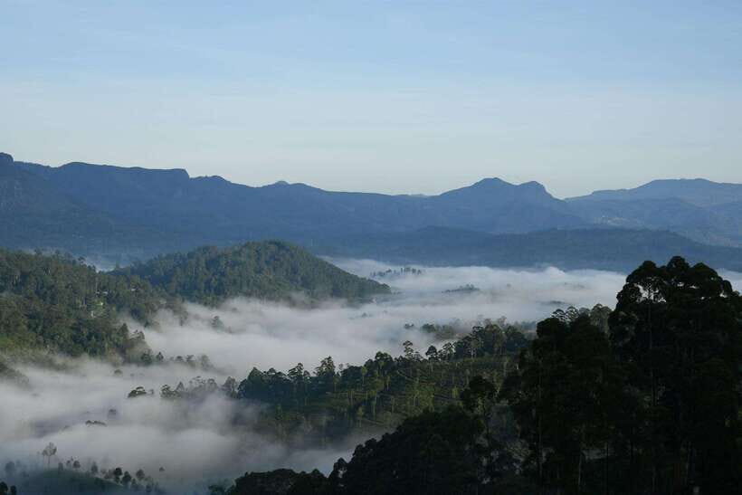 Ella: The Pekoe Trail Stage 16 - Ella to Demodara - Why This Tour Stands Out