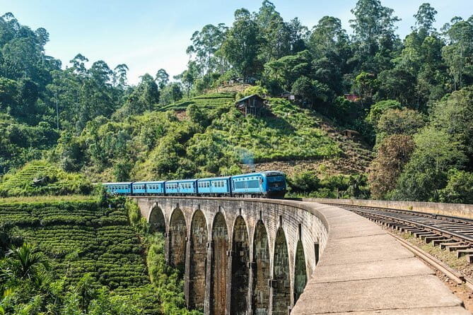 Ella to Colombo Train Tickets (Reserved Seats) - Who Will Love This Experience?