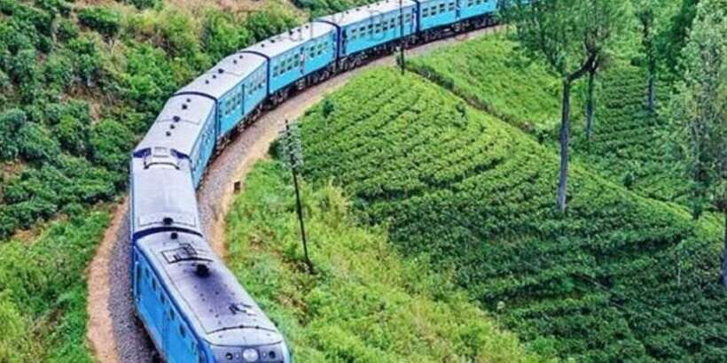 Ella to Horton Plains with Bakers Falls & Train Delights - The Practical Side: What to Expect and Considerations