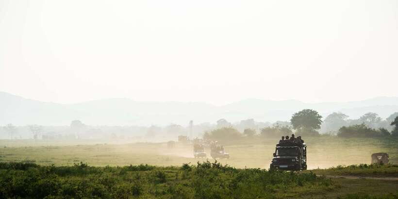 ELLA to TANGALLE/MIRISSA/GALLE Shuttle & YALA Safari - A Deep Dive Into the Experience