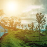 Ella Train Experience with Dip & Dine at Ravana Pool Club - A Delicious Pause: Dine at Ravana Pool Club