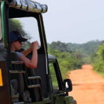 Ella: Transfer to Tangalle/Mirissa/Galle & Yala/Udawalawe Safari - A Closer Look at the Safari Experience