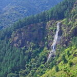 Ella: Waterfall hunting Hike to Bambarakanda and Lanka Falls - A Deep Dive into the Waterfall Hunting Tour