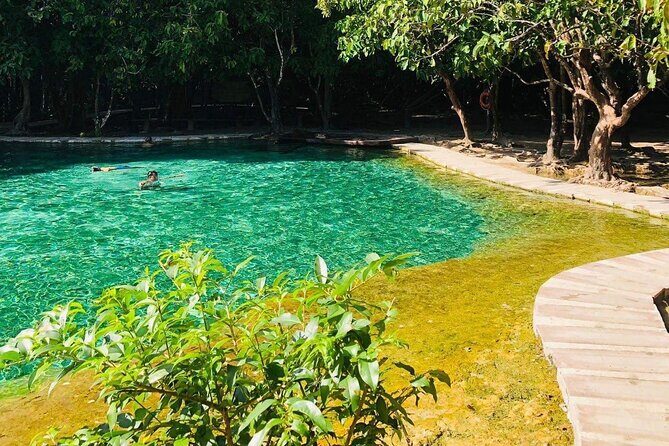 Emerald Pool: Jungle Tour, Private Full Day with Lunch - The Sum Up