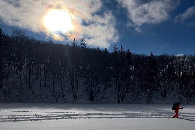 EN/CN Guided Snowshoeing and Snow Monkey Tour in Nagano - Transportation and Group Size