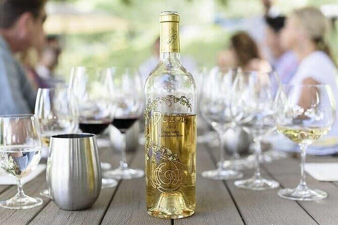 Enchanted Napa and Sonoma Wine Tour from San Jose - In-Depth Review of the Napa and Sonoma Experience