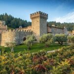 Enchanted Napa & Sonoma Wine Tour from Cupertino - Practical Considerations and Advice