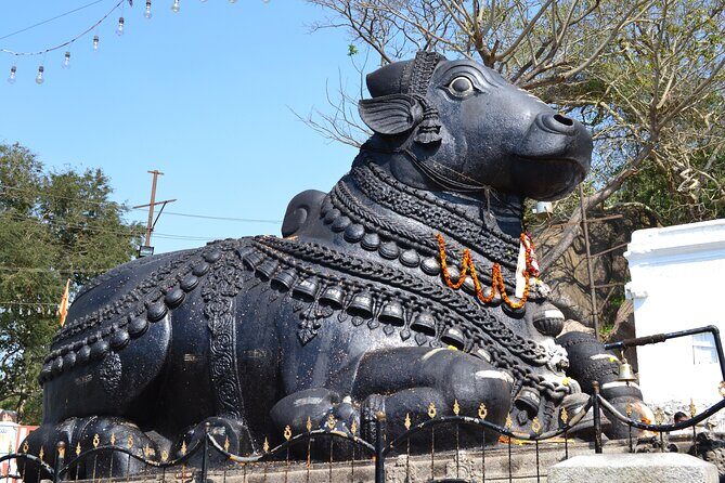 Enchanting Bangalore - Full Day Private Tour Nature/Culture/Feast - Who Will Love This Tour?