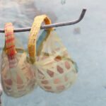 Enchanting Chiang Mai: White, Blue, Black & Golden Triangle - A Detailed Look at the Tour Experience