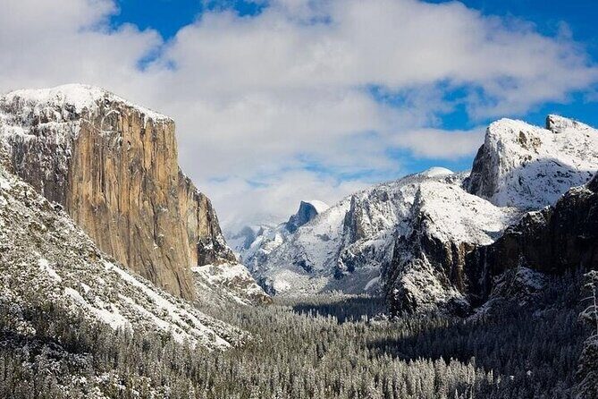 Enchanting small group Yosemite National Park Tour from Cupertino - Why This Tour Offers Great Value