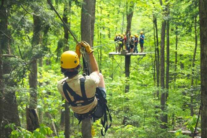 Enchanting Zipline , Camano Island and Deception Pass Tour - Who Should Book This Tour?
