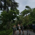 Endangered Monkeys Watching - Red Shanked Douc Langurs - Who Will Love This Tour?