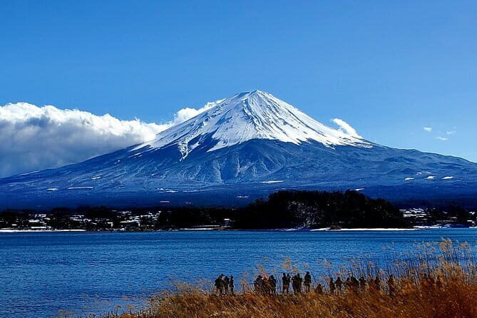English Guided 2 Days Tokyo ,Mt Fuji and Hakone Private Tour - Exploring the Best of Tokyo in Two Days