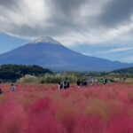 English-speaking Guided Tour:Mount Fuji & Hakone, Private Vehicle - FAQ – Your Questions Answered