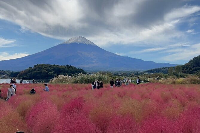 English-speaking Guided Tour:Mount Fuji & Hakone, Private Vehicle - FAQ – Your Questions Answered