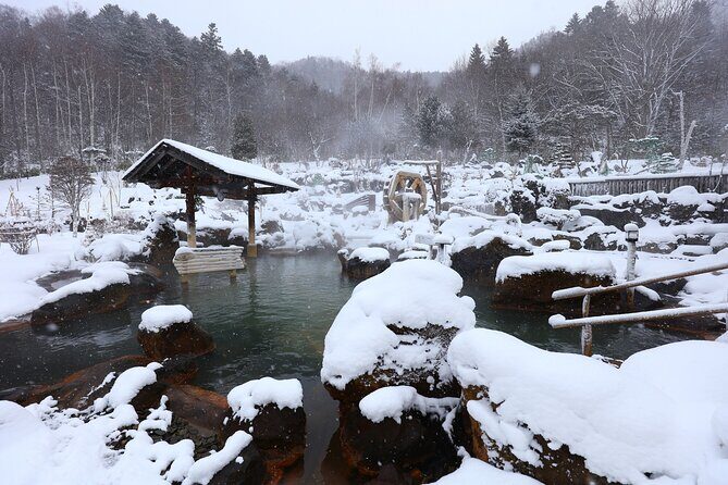 Enjoy snow-covered hot springs with private transport - Who Will Love This Tour?