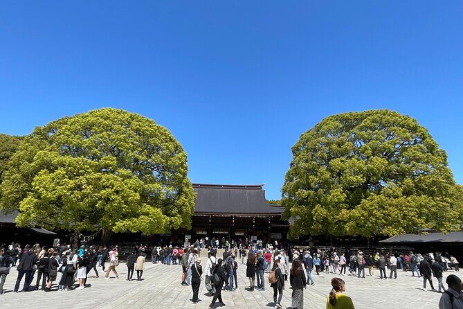"Enjoy Tokyo Tour" Harajuku Meiji-jingu & Delicious Sake Tasting - The Details That Matter