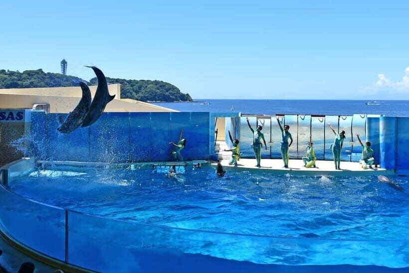 Enoshima Aquarium: Admission Ticket - Who Should Visit the Enoshima Aquarium?