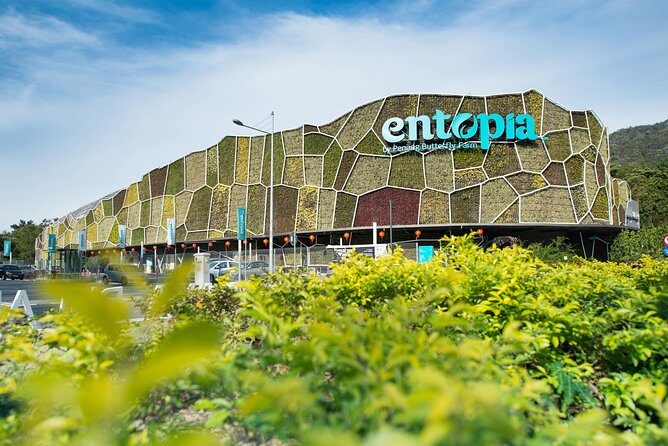 Entopia Butterfly Farm & Tropical Spice Garden Tour - Authentic Visitor Perspectives