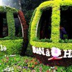 Entry ticket: Ba Na Hills and Golden Bridge Cable Car - FAQ