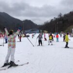 Eobi Ice Valley / Elysian Ski Resort / Nami Island - Who Is This Tour Best For?