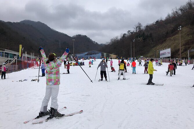 Eobi Ice Valley / Elysian Ski Resort / Nami Island - Who Is This Tour Best For?
