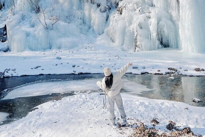 Eobi Ice Valley Nami Island and Gangchon Rail Park Seoul - What’s Included and What to Consider