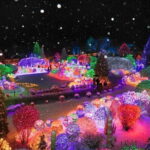 Eobi Ice Valley, Nami Island, Morning Calm and Rail Bike Seoul - FAQs