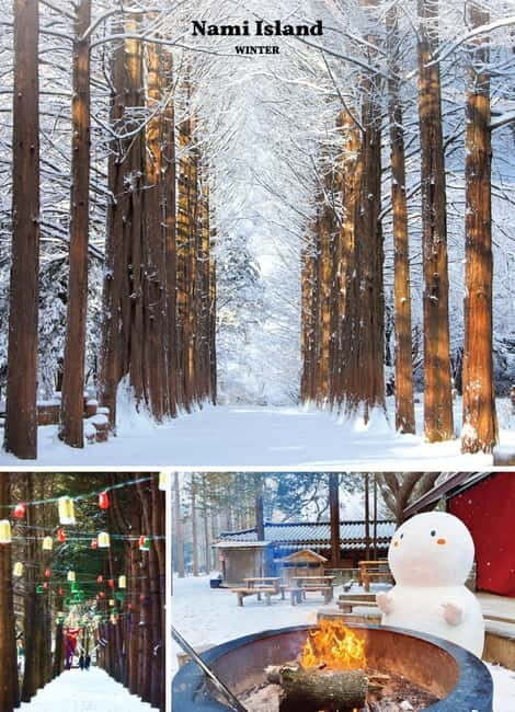 Eobi Ice Valley & Nami (+ Light Festival, Railbike, Alpaca) - Who Will Enjoy This Tour?