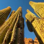 Epic Camelback Mountain Guided Hiking Adventure in Phoenix, Arizona - Why This Tour Delivers Real Value