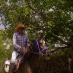 Equestrian Escape: Horse Safari Adventure - Why This Tour Is Worth It