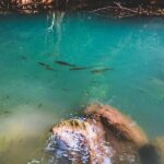 Erawan Waterfall and Elephant Care: Private Tour to Kanchanabur - FAQ