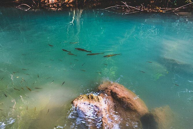 Erawan Waterfall and Elephant Care: Private Tour to Kanchanabur - FAQ