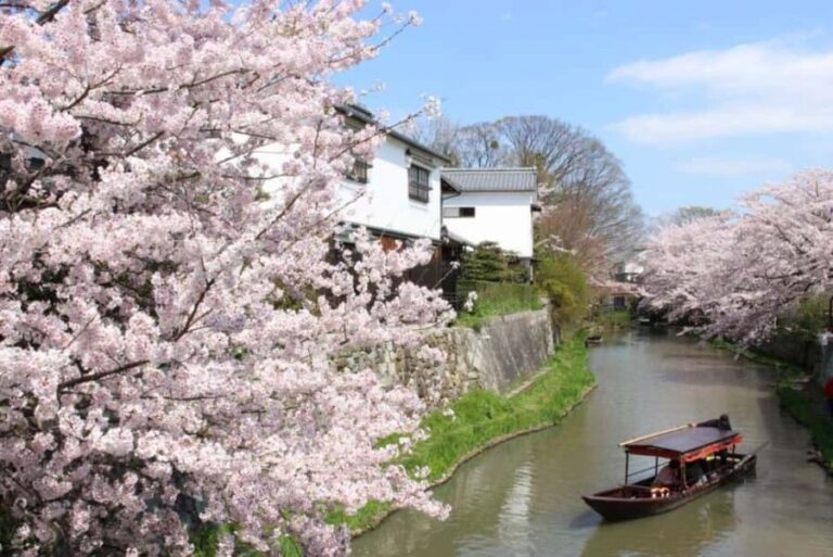 Escape Kyotos Crowds to Tranquil Hachiman Canals and Nature - Tasting Regional Cuisine