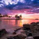 Essence of Sri Lanka: 12 Days of Culture, Nature & Adventure - Who Should Book This Tour?