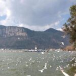 Essences of Kunming Downtown Day Tour - What This Tour Means for You