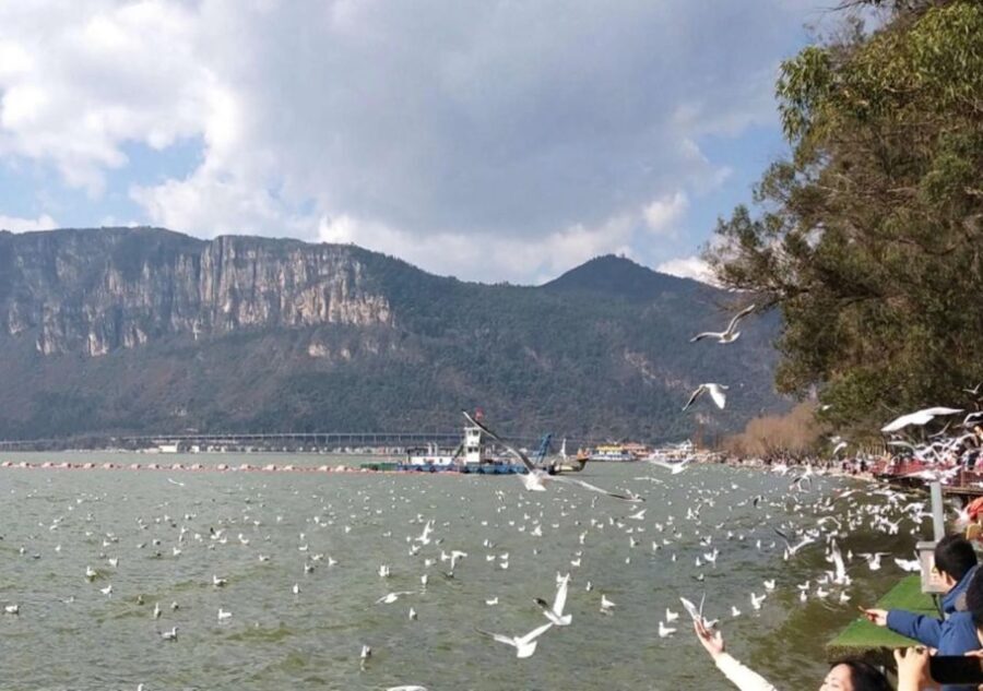 Essences of Kunming Downtown Day Tour - What This Tour Means for You