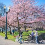 Essential Portland Oregon Bike and E-Bike Tour! - In-Depth: Why This Tour Delivers Real Value