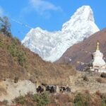 Everest Three Pass Trek - What the Reviews Say