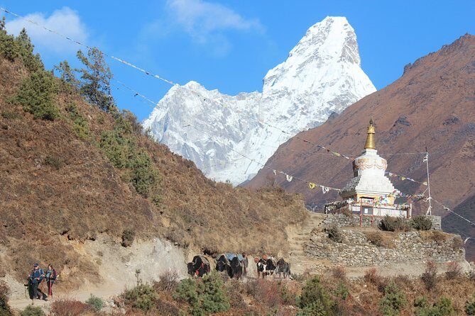 Everest Three Pass Trek - What the Reviews Say