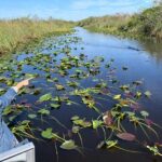 Everglades Airboat, Wildlife Show and free Photo - The Complete Guide to the Everglades Airboat Tour