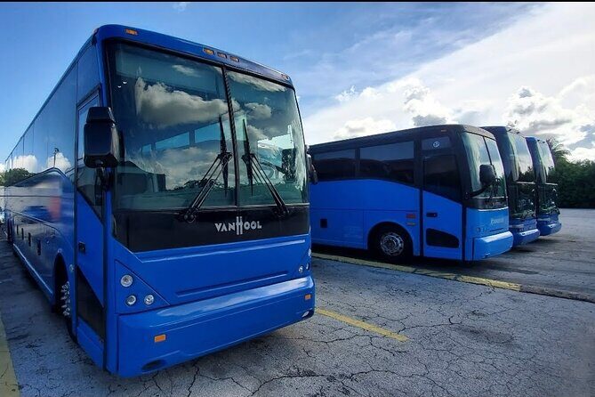 Everglades Alligator Airboat Tour with Bus transfer from Miami - Summary