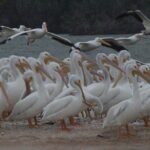 Everglades Small Group Guided Boating and Walking Expedition - Who Would Benefit Most from This Experience?