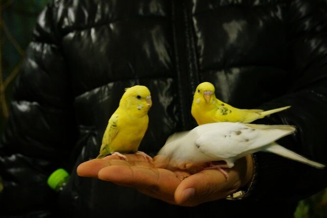 EVERLAND "From Hotel to Hotel" [Premium Private Tour: Only One Group for You] - Customizing Your Day