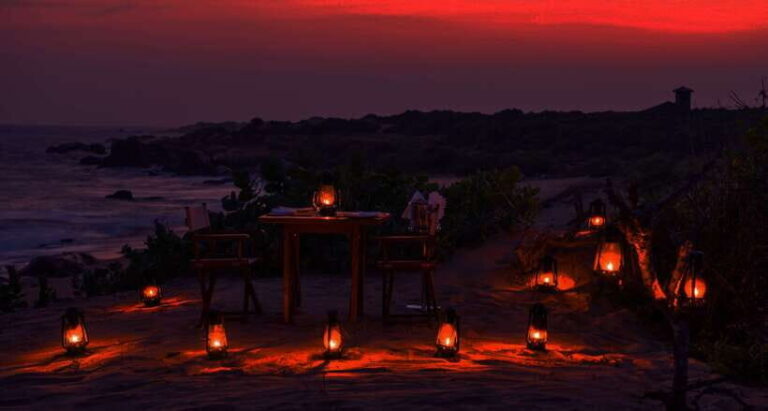 Exclusive : Afternoon Yala Safari with Beach BBQ Dinner - Why This Tour Stands Out