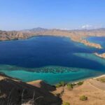 Exclusive Early Bird Komodo Tour: Beat the Crowds by Speed Boat - What Travelers Love About This Tour