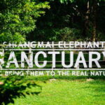 Exclusive experience half day with family giant animals - Is This Tour Worth It?