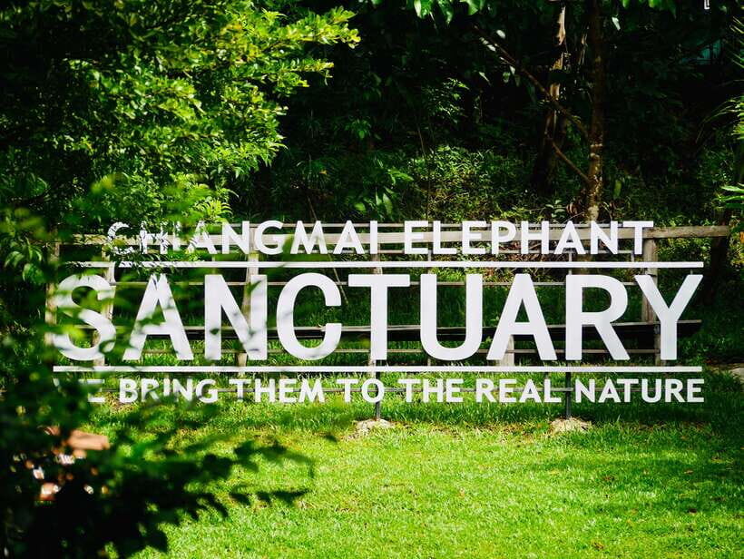 Exclusive experience half day with family giant animals - Is This Tour Worth It?