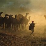 Exclusive: Guided Pushkar Day Trip from Jaipur - How the Experience Adds Value